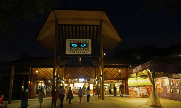 Bengal may soon get Singapore-styled Night Safari
