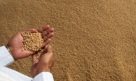 Bangla Govt to provide nutritious food for Sabar & Lodha communities