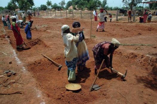Burdwan emerges top in providing 100 Days’ work under MGNREGA Burdwan emerges top in providing 100 Days’ work under MGNREGA