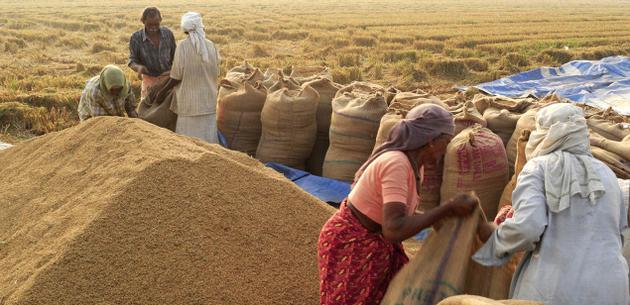 Bengal Govt to set up hi-tech silos that can preserve rice for 2 yrs Bengal Govt to set up hi-tech silos that can preserve rice for 2 yrs