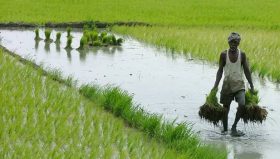 WB Govt urges industrialists to invest in agriculture