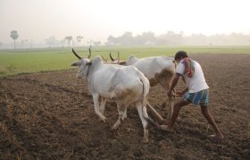 WB Govt to build Krishi calendar on the lines of administrative calendar WB Govt to build Krishi calendar on the lines of administrative calendar