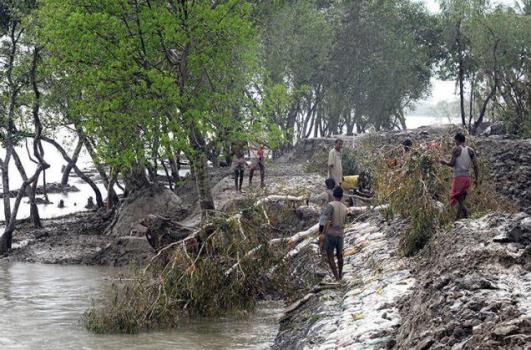 WB Govt to build concrete embankments in Aila-hit areas by March, 2015