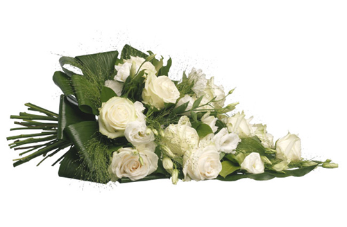 We deeply mourn the tragic incident… We deeply mourn the tragic incident…