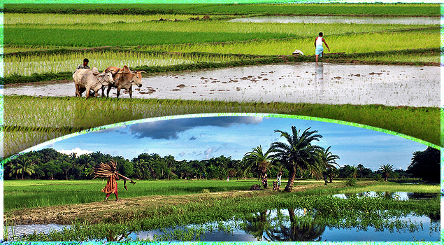 World Bank rewards Bengal for rural development, only State in India to receive grants
