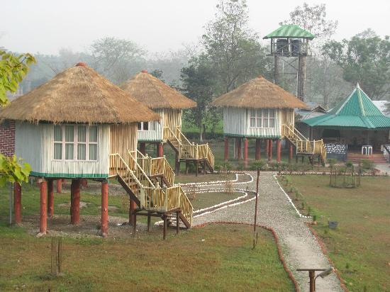 Bengal Tourism to set up more lodges in north Bengal