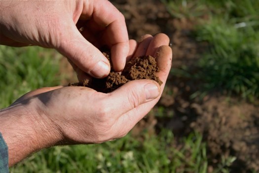 WB Govt to develop the infrastructure of soil testing laboratories