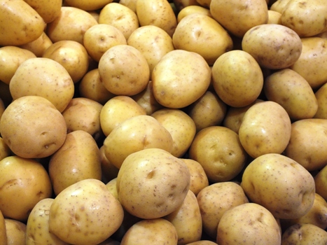 WB Government lifts ban on potato export WB Government lifts ban on potato export