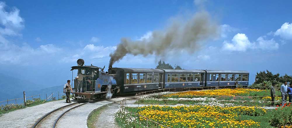 himalayan_train