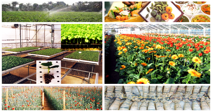 State Govt to arrange for training in latest tech for food processing, agriculture