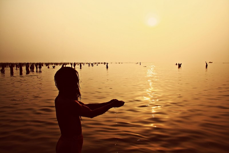 mamata banerjee sagar island