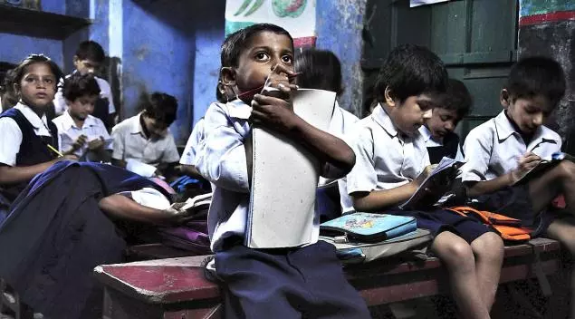 primary education