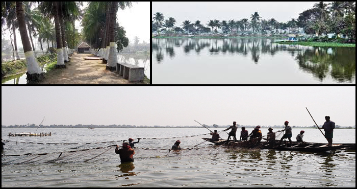 Wetland Conservation – KMC has made a mark Wetland Conservation – KMC has made a mark