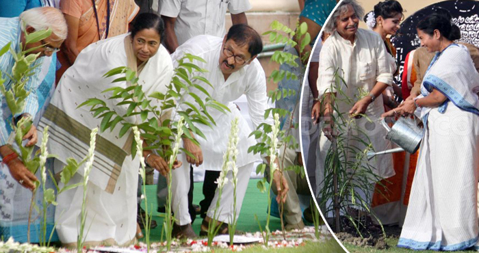 একদিনে ৫০ লক্ষ চারা পোঁতা হবে বনমহোৎসবে একদিনে ৫০ লক্ষ চারা পোঁতা হবে বনমহোৎসবে