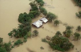 WB Agri Dept encourages flood-affected farmers to take up alternative farming WB Agri Dept encourages flood-affected farmers to take up alternative farming
