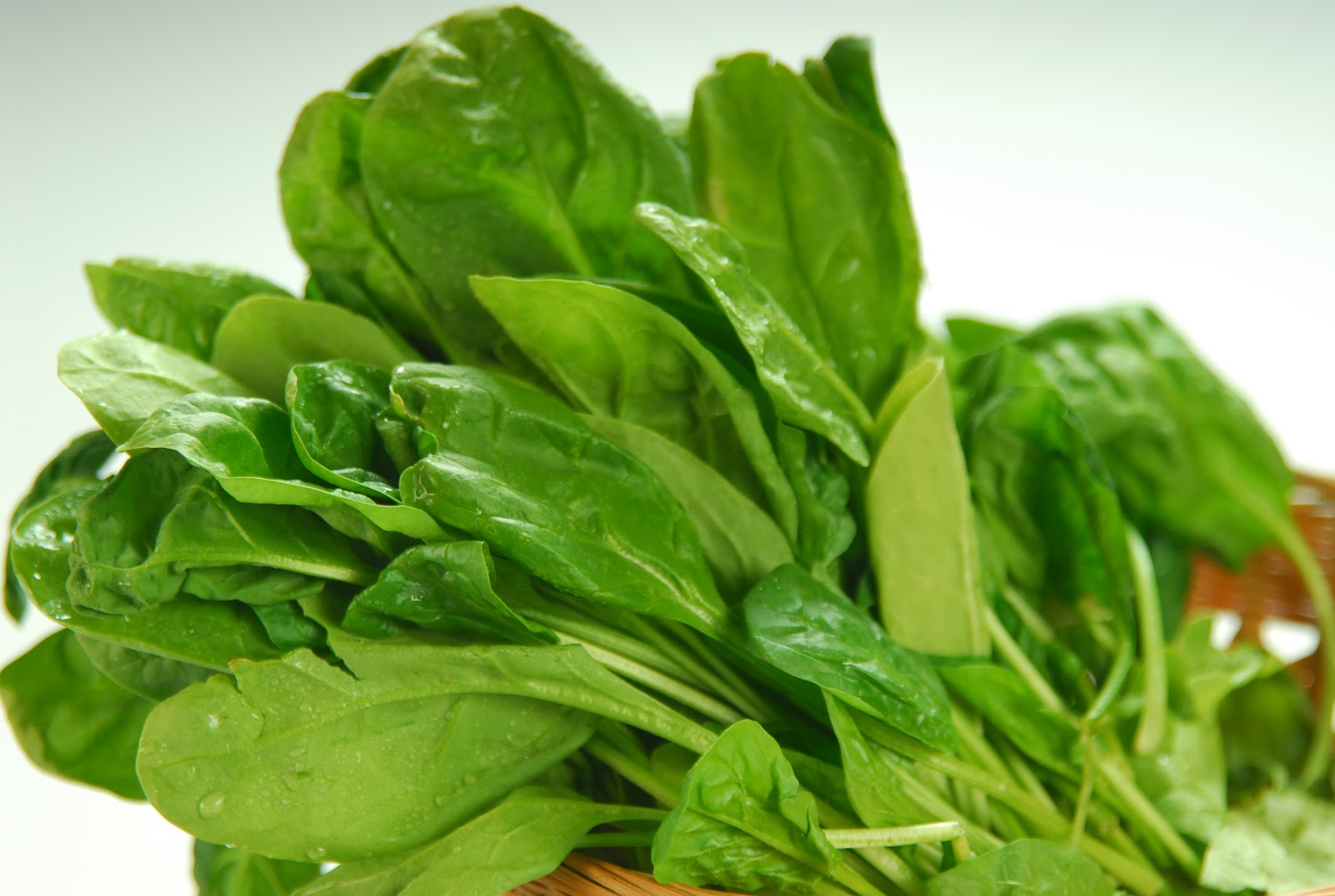 West Bengal Govt to distribute spinach seeds to flood-affected farmers West Bengal Govt to distribute spinach seeds to flood-affected farmers