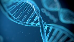 India’s first govt-owned stem cell preservation unveiled in Kolkata India’s first govt-owned stem cell preservation unveiled in Kolkata