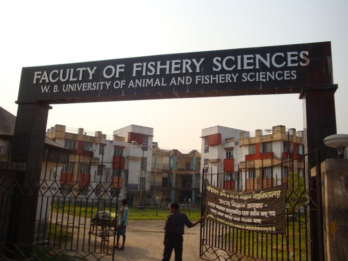 West Bengal Govt sets up first indoor ward for animals West Bengal Govt sets up first indoor ward for animals