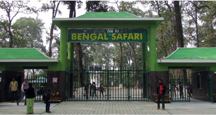 আলাদা বাঘ প্রজনন কেন্দ্র শিলিগুড়িতেই আলাদা বাঘ প্রজনন কেন্দ্র শিলিগুড়িতেই