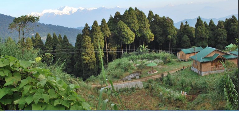 Bengal Govt to revive four Darjeeling trekking trails Bengal Govt to revive four Darjeeling trekking trails