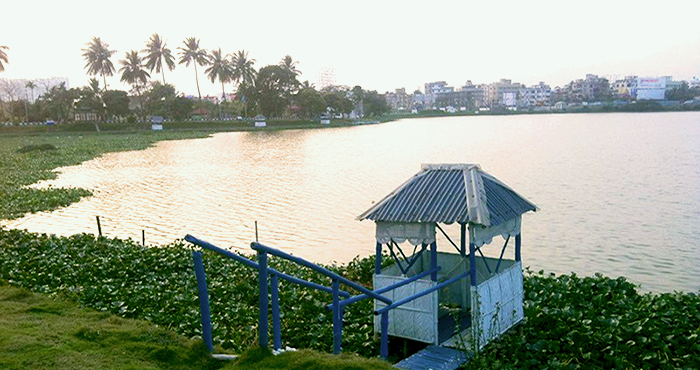 Bengal Government takes major steps for a greener environment Bengal Government takes major steps for a greener environment