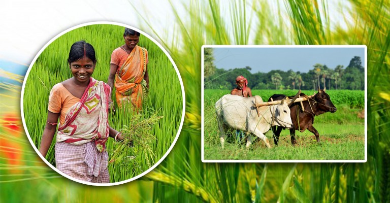 Bengal shows the way in agricultural growth Bengal shows the way in agricultural growth