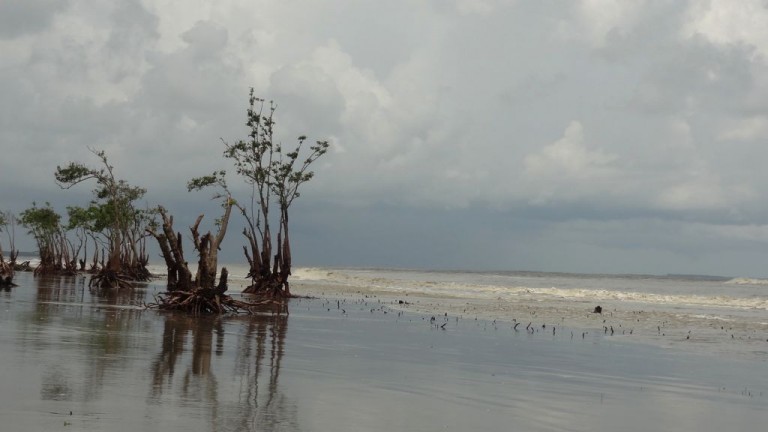 Bengal Govt to augment the tourism infrastructure at Henry’s Island Bengal Govt to augment the tourism infrastructure at Henry’s Island