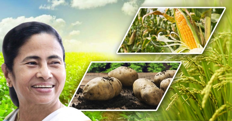 Singur Now – A hub of agricultural productivity Singur Now – A hub of agricultural productivity
