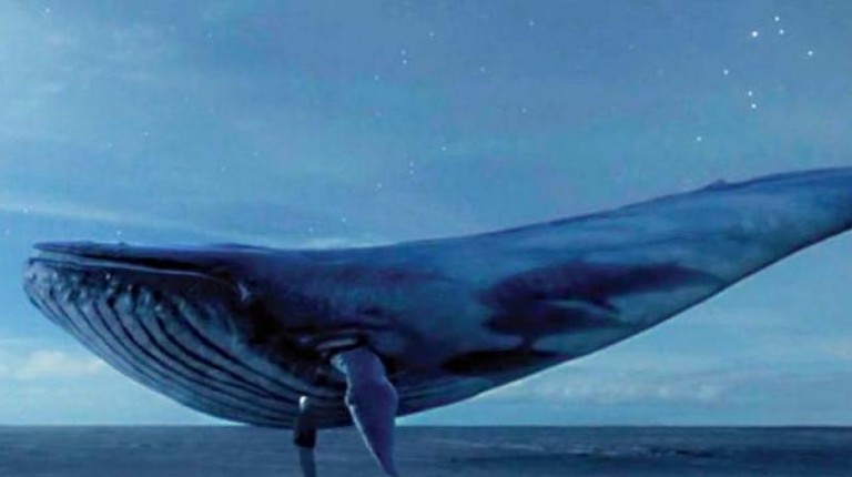 Blue Whale Challenge – Kolkata Police and Bengal CID take to social media to sensitise people Blue Whale Challenge – Kolkata Police and Bengal CID take to social media to sensitise people