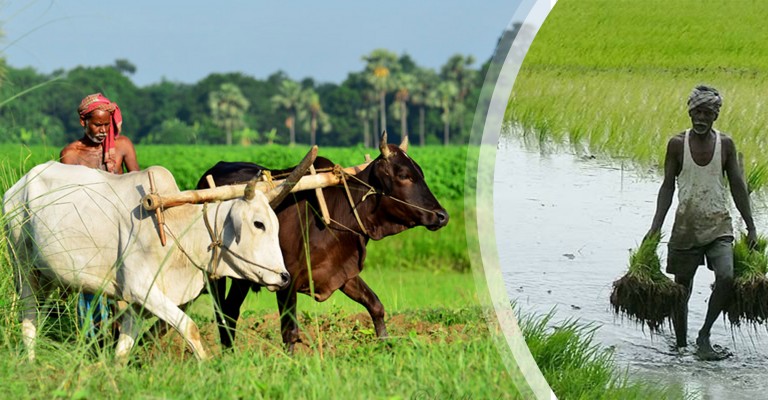 Bengal Panchayat Dept presents success of Ushar Mukti Scheme through coffee table book Bengal Panchayat Dept presents success of Ushar Mukti Scheme through coffee table book