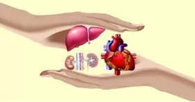 Bengal Govt taking steps to make organ transplantations smoother Bengal Govt taking steps to make organ transplantations smoother