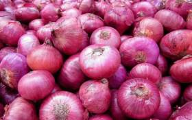 Bengal CM slams Centre over rising prices of onions