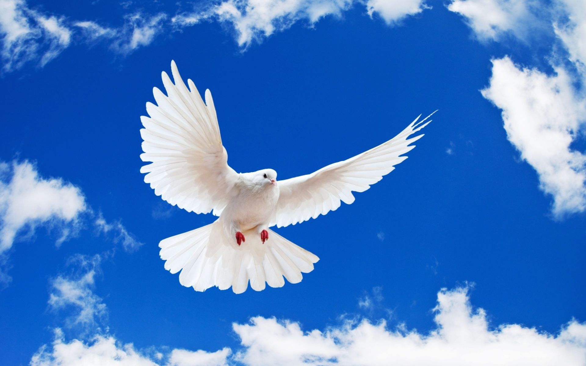 The State of communal harmony in India