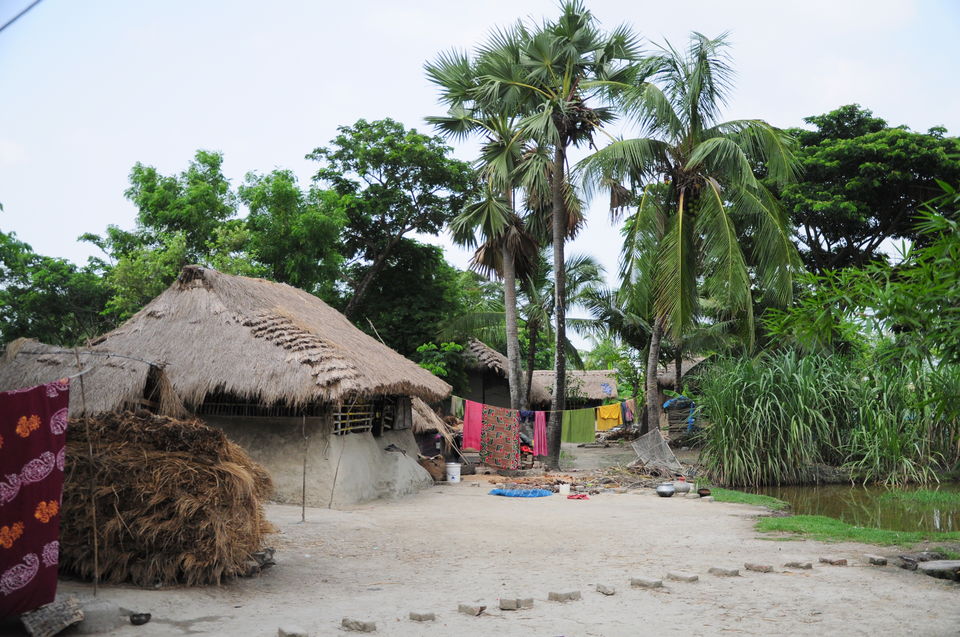 Bengal Govt to set up cooperative banks in 250 more villages