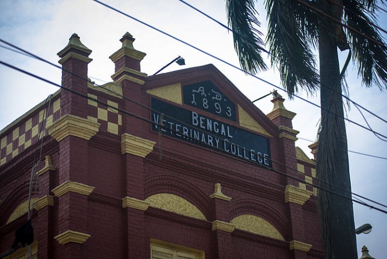 Fisheries science and veterinary colleges to come up in Jalpaiguri dist Fisheries science and veterinary colleges to come up in Jalpaiguri dist