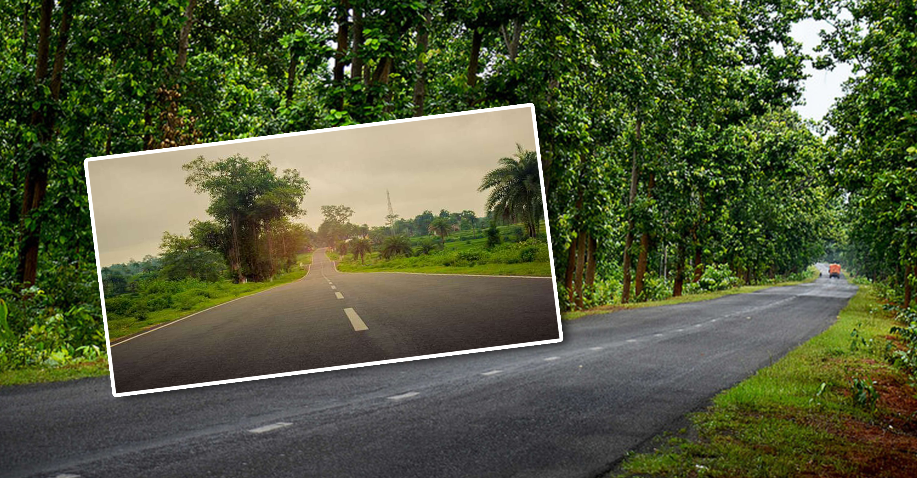 Over 3,000 km of rural roads being repaired and widened by State Govt