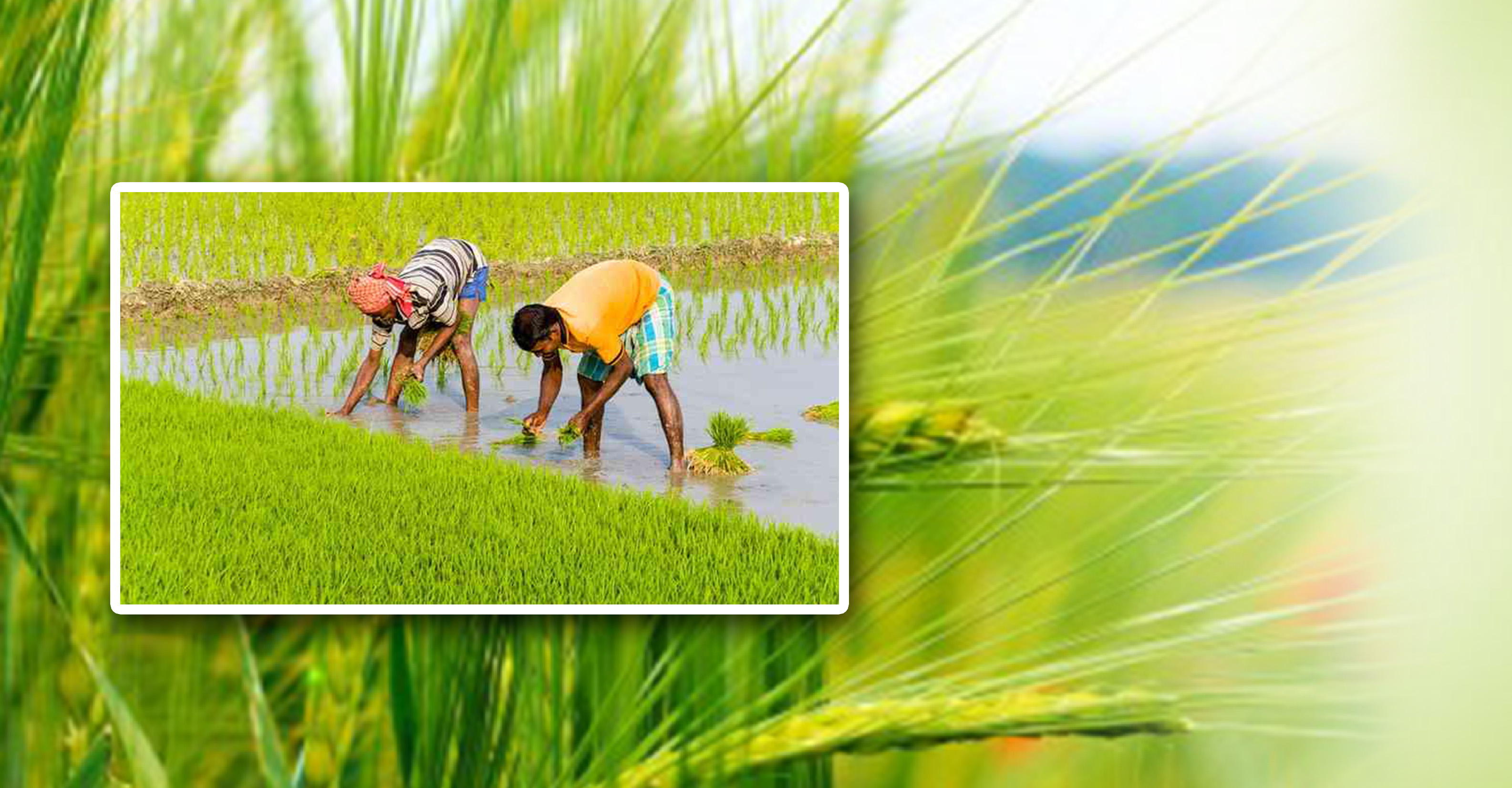 সমবায় - দেশকে পথ দেখাচ্ছে বাংলাঃ শিল্পমন্ত্রী সমবায় - দেশকে পথ দেখাচ্ছে বাংলাঃ শিল্পমন্ত্রী