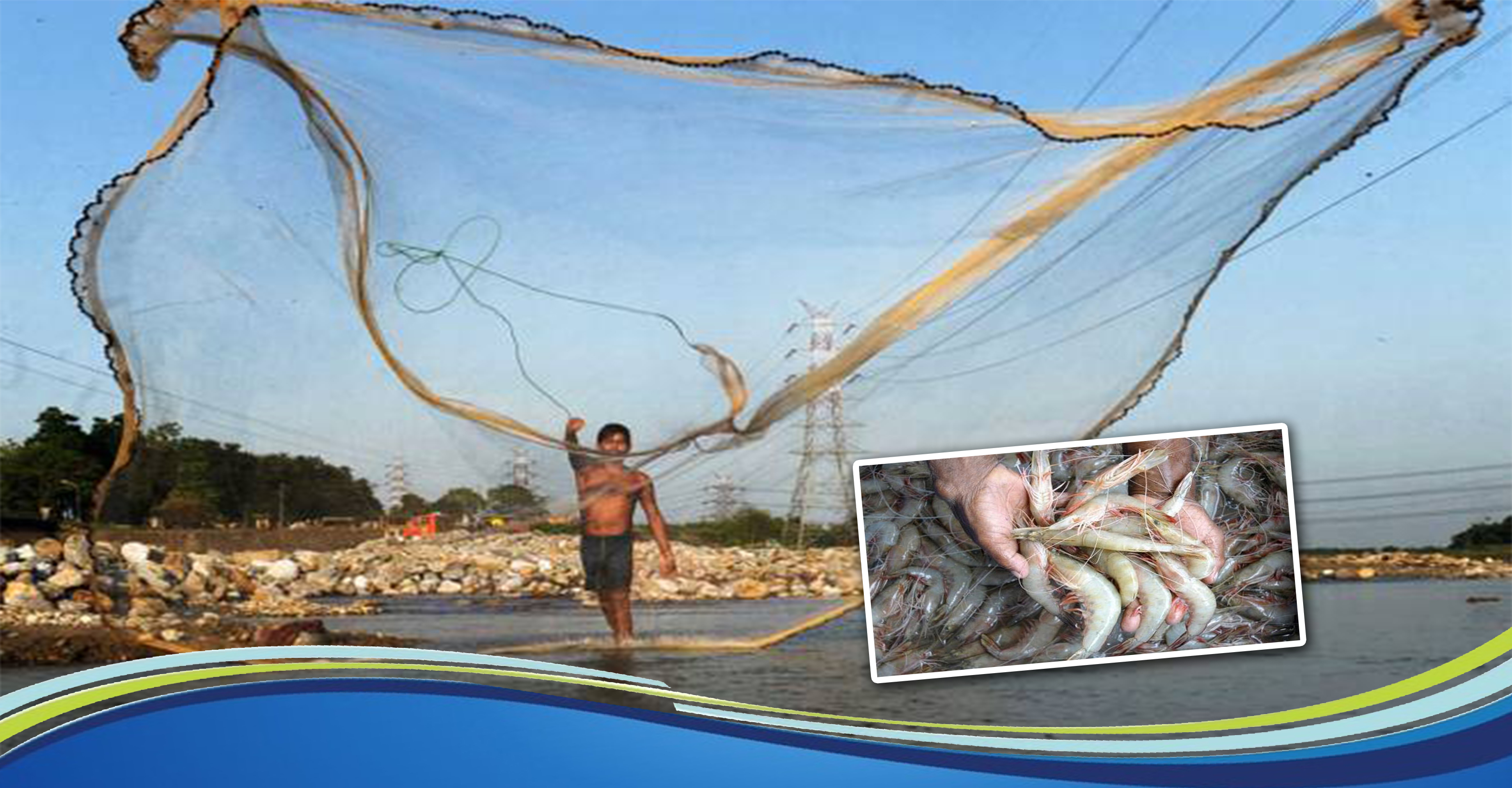 Developments undertaken by the Fisheries Department Developments undertaken by the Fisheries Department