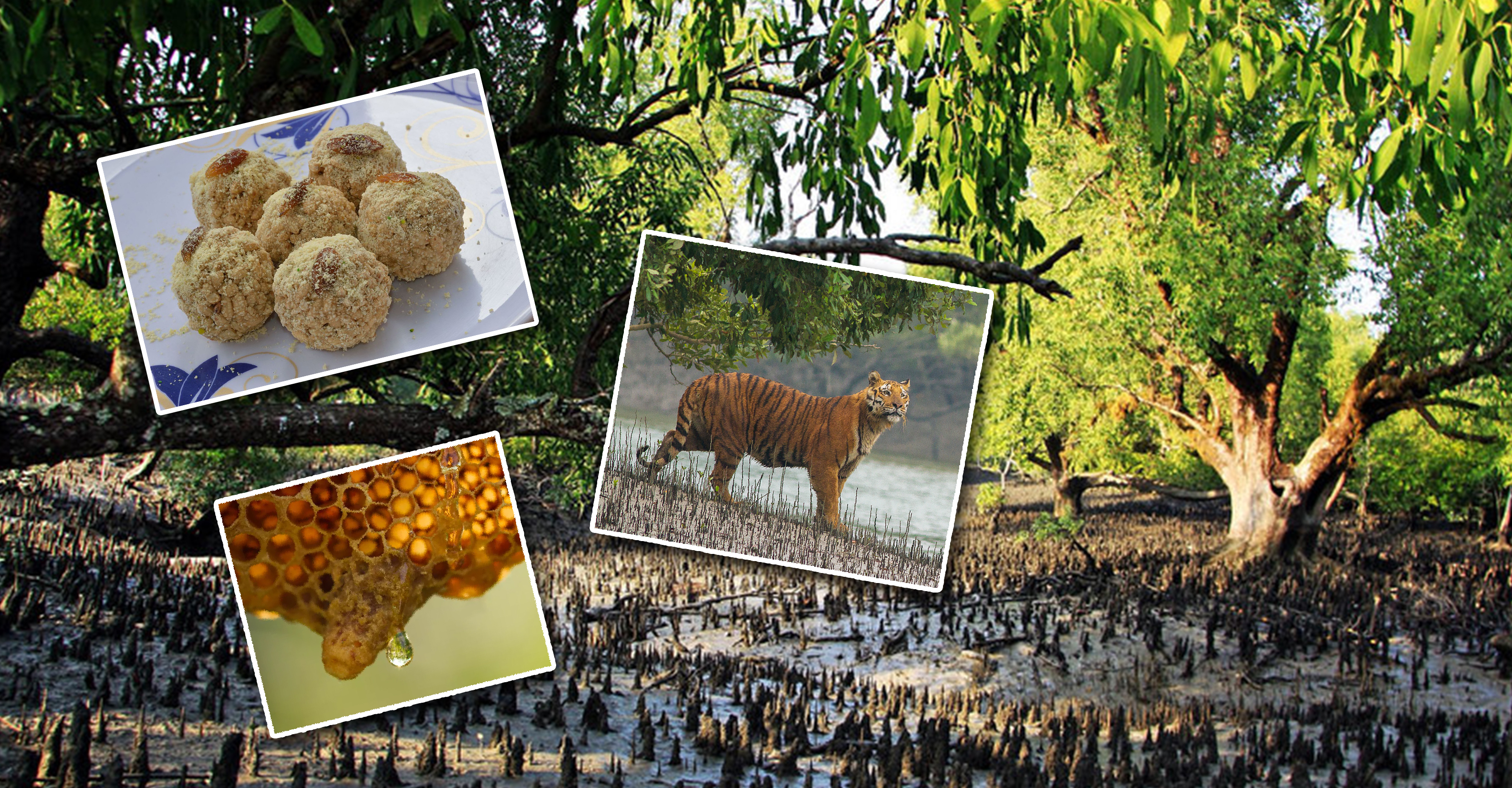 Developmental activities taken up in South 24 Parganas Developmental activities taken up in South 24 Parganas