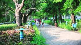 KMC adopts new policy of tree plantation KMC adopts new policy of tree plantation