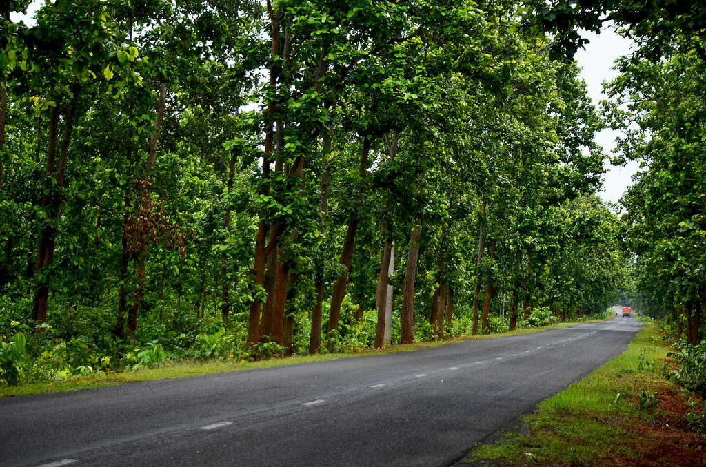 New bus routes in Jangalmahal