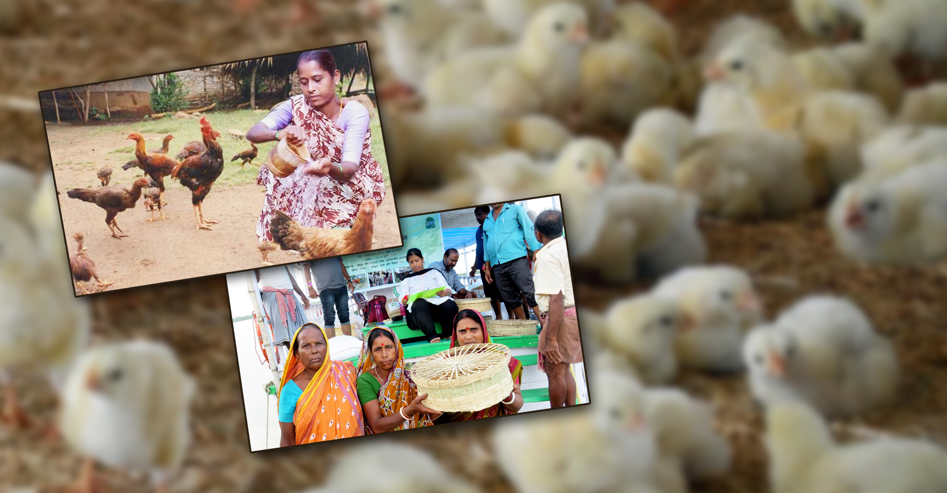 নারী ক্ষমতায়নে রাজ্য সরকারের নয়া উদ্যোগ নারী ক্ষমতায়নে রাজ্য সরকারের নয়া উদ্যোগ