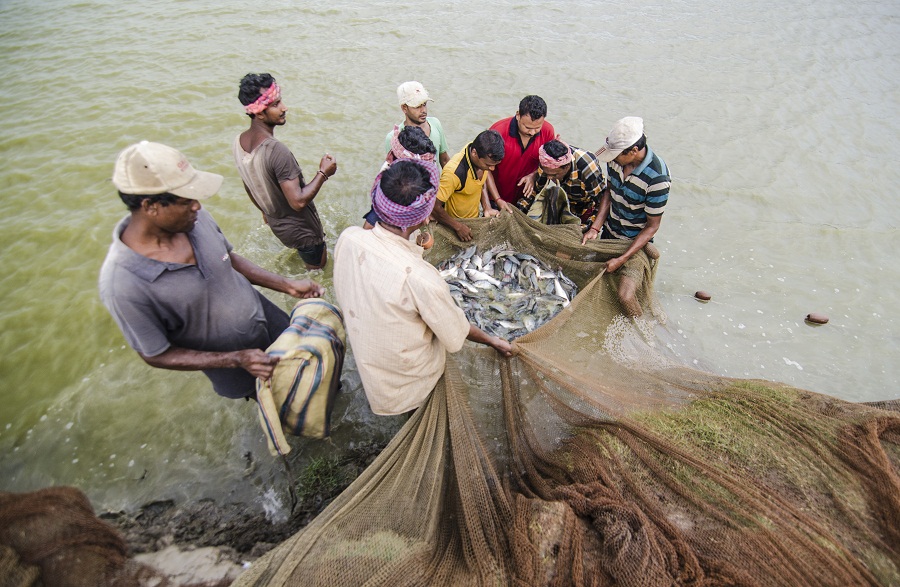 For the first time in India, pen culture in wetlands to take place in Bangla For the first time in India, pen culture in wetlands to take place in Bangla
