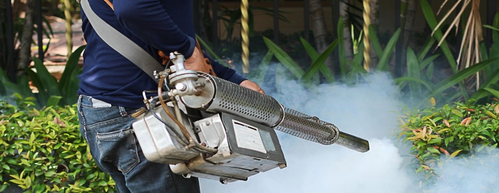 Dengue drives by KMC continue even after end of rainy season