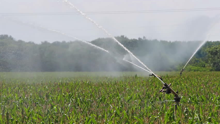 State Govt to provide rainguns for better cultivation, and for free