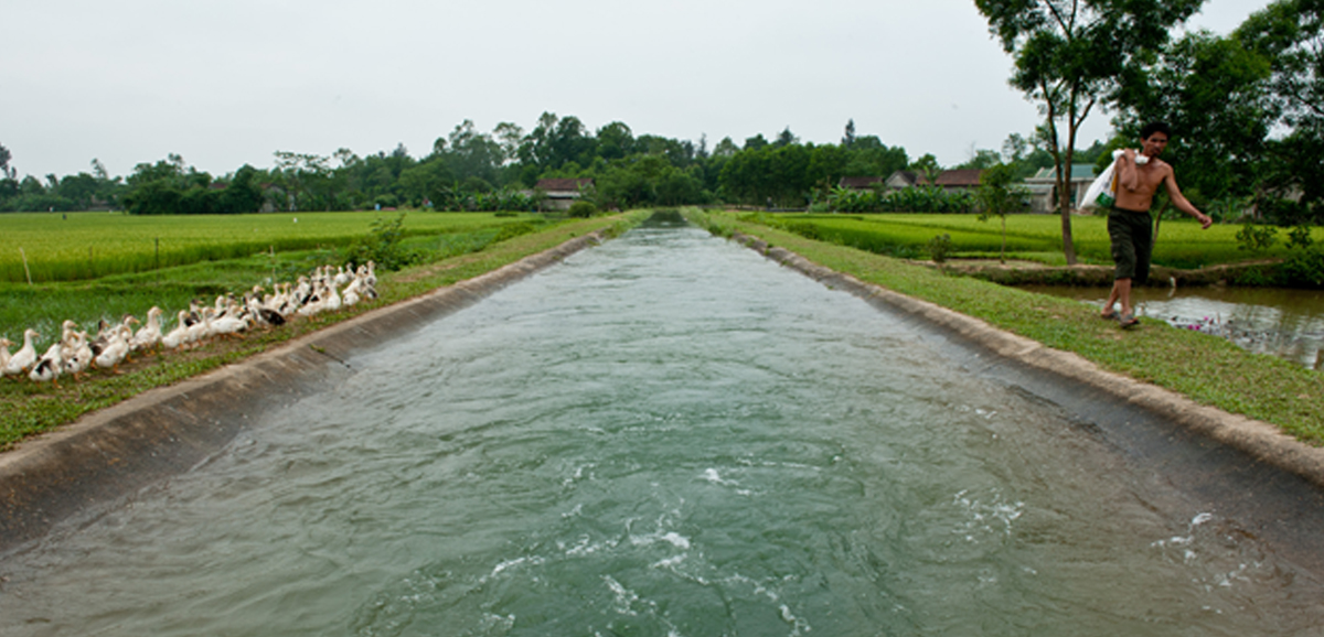 Jal Dharo Jal Bharo leads to success in irrigation & employment generation Jal Dharo Jal Bharo leads to success in irrigation & employment generation
