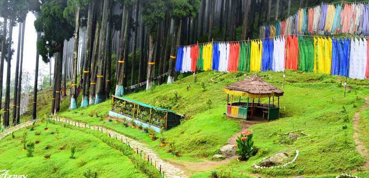 Darjeeling: Looking at a bright future Darjeeling: Looking at a bright future