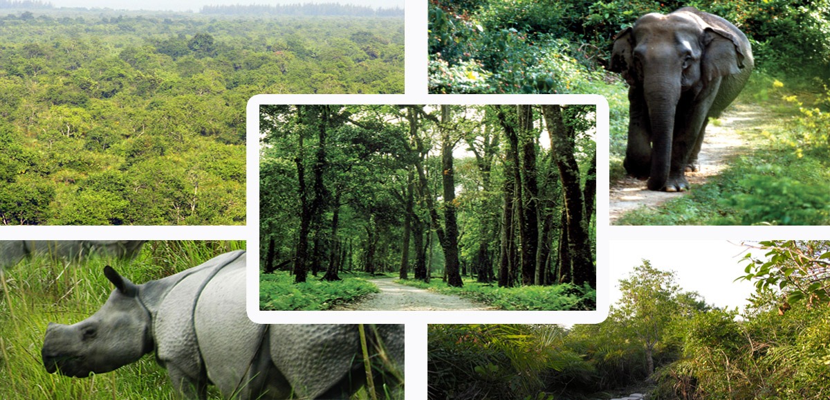 Major achievements of the State Forest Department Major achievements of the State Forest Department