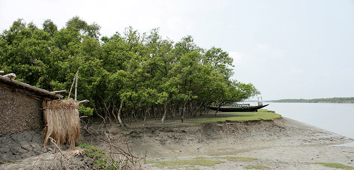 State Govt collaborates on eco observatory for the Sundarbans State Govt collaborates on eco observatory for the Sundarbans