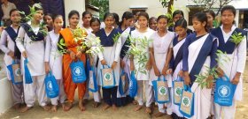 State Govt plans increasing greenery in schools State Govt plans increasing greenery in schools